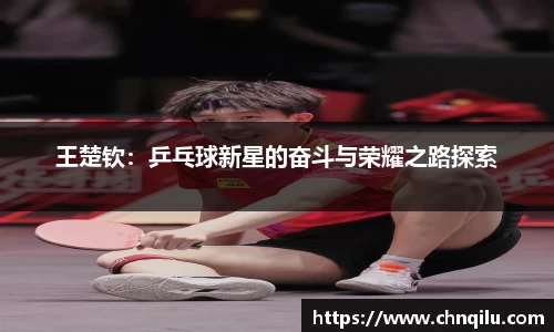王楚钦：乒乓球新星的奋斗与荣耀之路探索