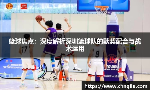 篮球焦点：深度解析深圳篮球队的默契配合与战术运用