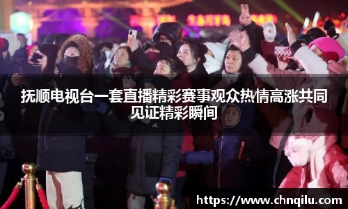 抚顺电视台一套直播精彩赛事观众热情高涨共同见证精彩瞬间