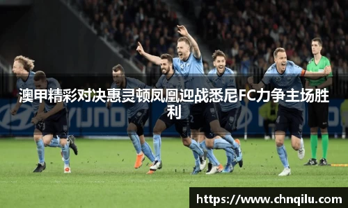 澳甲精彩对决惠灵顿凤凰迎战悉尼FC力争主场胜利